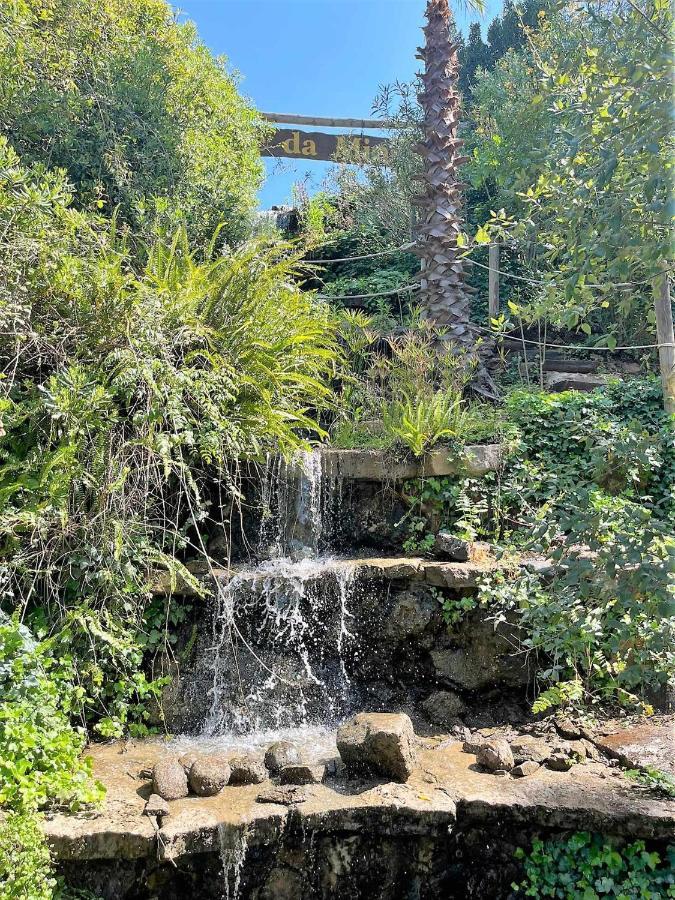 Parque Da Mina Hotel Monchique Bagian luar foto
